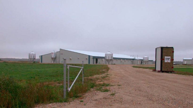 Imagen 1. Cortesía de Super Gro Site 1 y el Dr. Tim Snider.