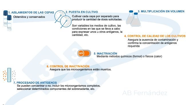 Figura 1. Esquema de fabricación de una autovacuna