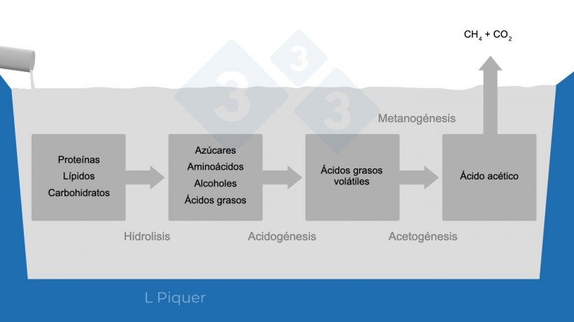 Gráfico 1. Ciclo de formación de metano (CH4) durante el almacenamiento del purín.