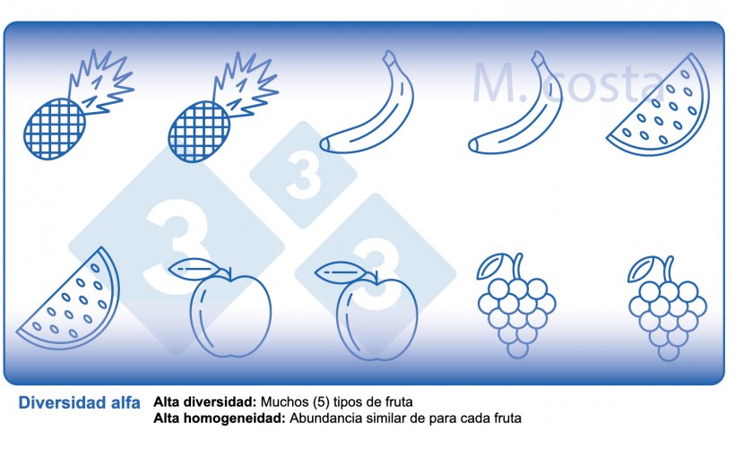 Figura 2. Cómo interpretar las medidas de diversidad microbiana de las muestras (diversidad alfa). La variedad es un parámetro de la diversidad (por ejemplo, los tipos de frutas) y la homogeneidad (por ejemplo, la distribución o abundancia de cada tipo de fruta) en una muestra determinada.