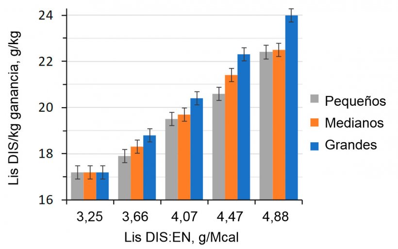 Figura 1. Efecto de la ratio lisina-energía de la dieta en cerdos de engorde (28-63 kg PV) clasificados según su peso inicial (Aymerich et al., 2020).